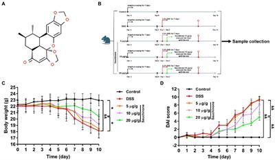 Sauchinone alleviates dextran sulfate sodium-induced ulcerative colitis via NAD(P)H dehydrogenase [quinone] 1/NF-kB pathway and gut microbiota